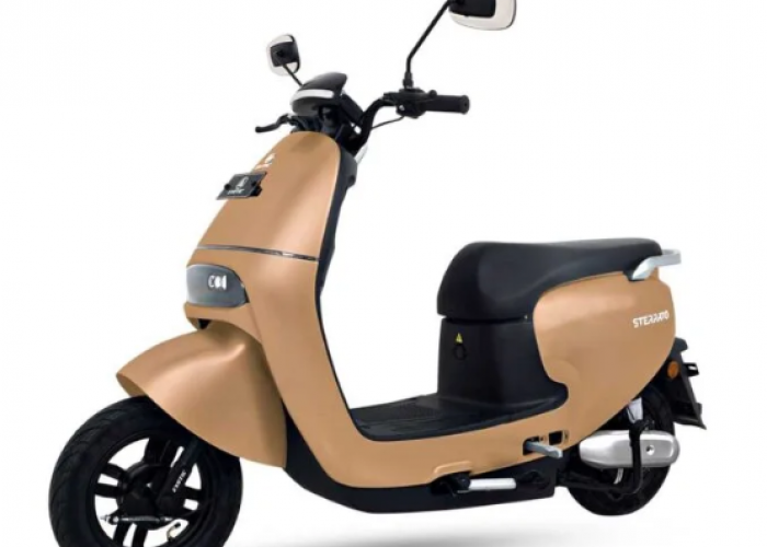 Ini Dia Motor Listrik China Murah Mulai Rp5 Jutaan, Ini Daftar Menariknya