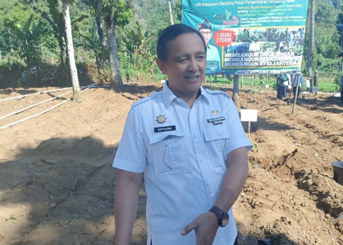 Perbaiki Hulu Citarum, Pemkab Bandung Wajibkan ASN Tanam Pohon di Situ Cisanti