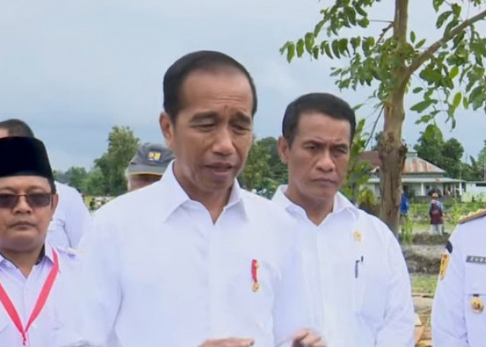 Jokowi Menilai Swasembada Pangan Proses Yang Panjang Karena Tantangan Iklim