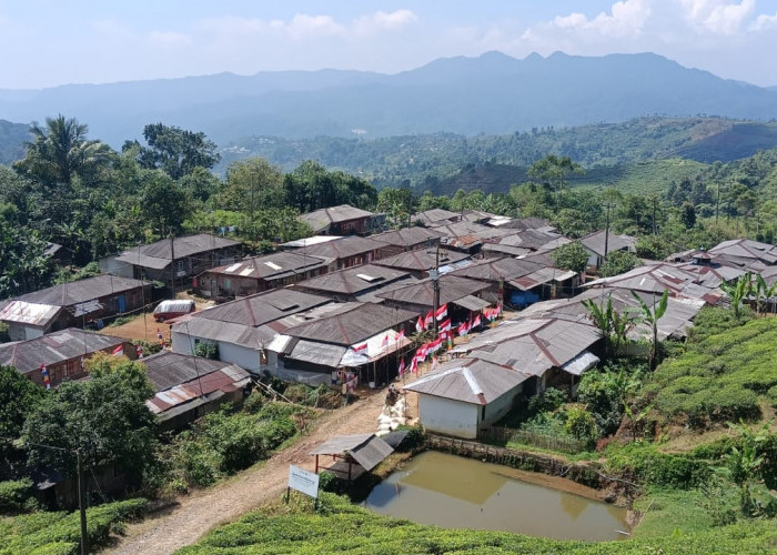 Kampung ‘Tokyo’ di Lereng Gunung Halimun-Salak