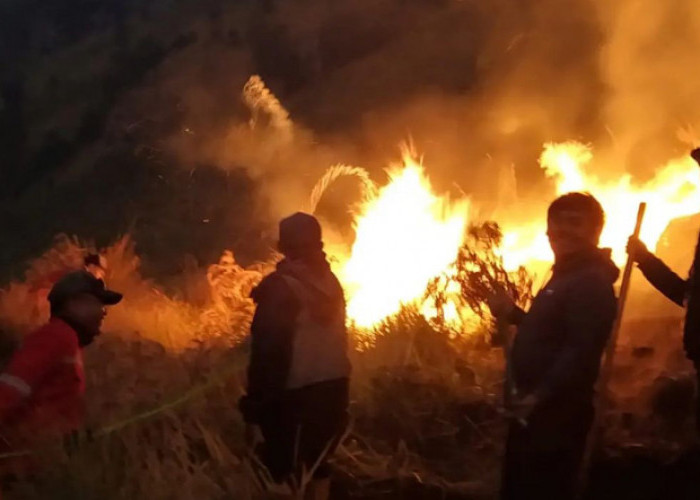 Manajer WO Jadi Tersangka Penyebab Kebakaran Savana Bukit Teletubbies Gunung Bromo