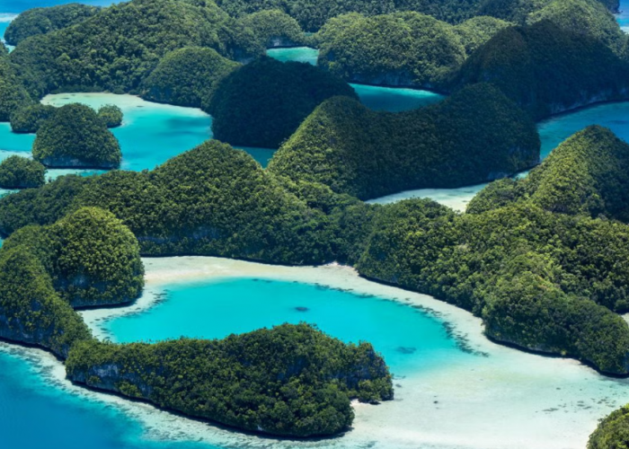 5 Fakta Menarik Pulau Palau yang Memikat Hati Wisatawan