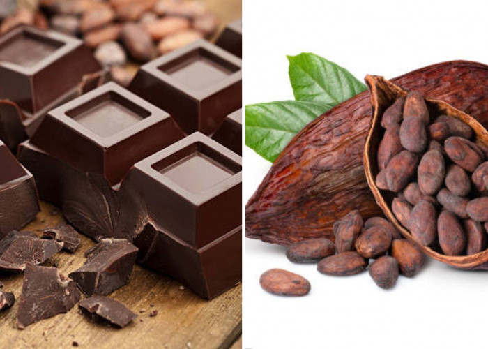 10 Fakta Unik tentang Cokelat
