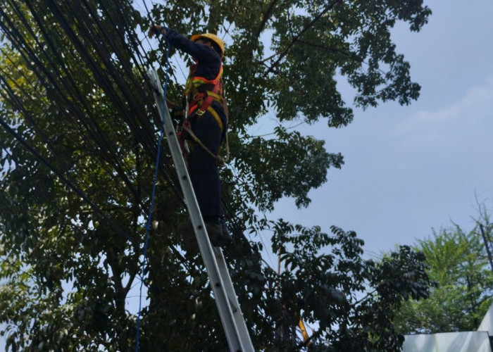 Kolaborasi antara Diskominfo Kota Bandung dan PLN Icon Plus Hadir untuk Mewujudkan Kota yang Lebih Indah