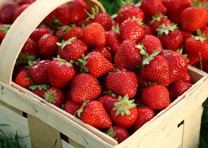 7 Manfaat Strawberry untuk Kesehatan Gigi yang Harus Kamu Tahu, Bisa Memutihkan dan Menghilangkan Plak