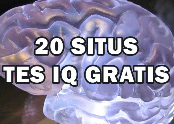 20 Situs Tes IQ Gratis Online untuk Mengetahui Tingkat Kecerdasan Intelektual