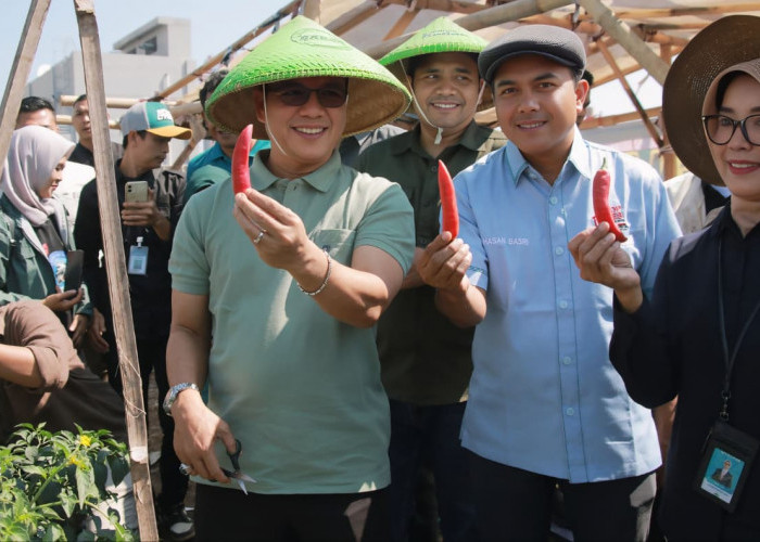 KDS Dorong KDMP Lengkong Jadi Produsen dan Offtaker Cabai Merah untuk SPPG