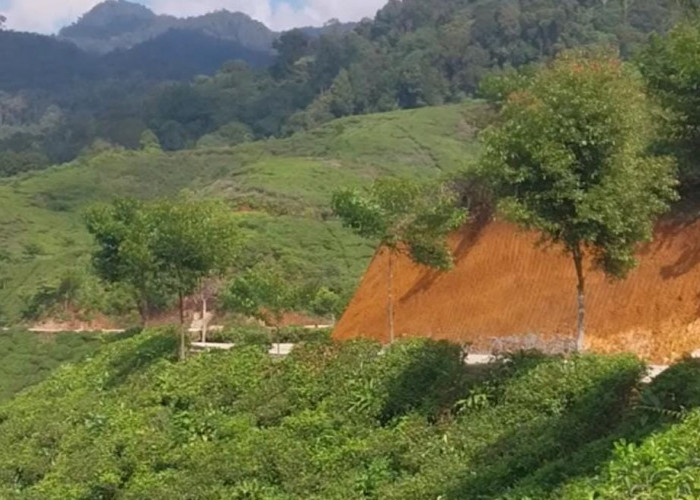 Bupati Bogor Beri 422 Unit Sepeda untuk Para Anak di Desa Malasari