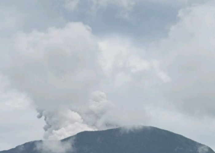 Gunung Ibu di Halmahera Barat Alami 55 Kali Erupsi dalam Sehari  