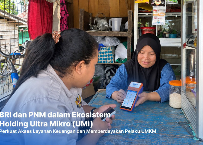 Berkat Holding Ultra Mikro, Pemilik Laundry di Kalimantan Ini Sukses Kembangkan Usaha Jadi BRILink Agen