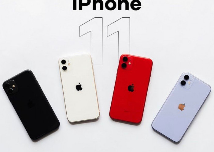 iPhone 11 Harganya Turun Drastis? Hp Boba yang Worth It Dipakai 5 Tahun Kedepan, Cek Selengkapnya di Bawah!