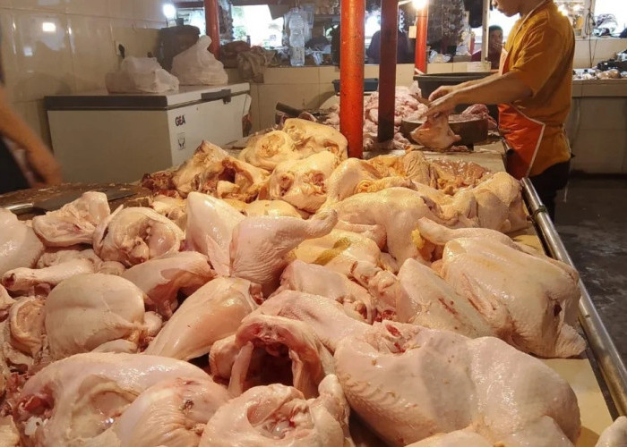 Marak Pedagang Ayam Liar, Pedagang Ayam di Pasar Tradisonal Cimahi Ancam Lakukan Demo