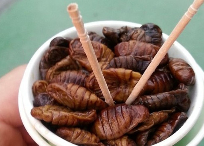 8 Makanan Khas Korea yang Tidak Lazim untuk Dimakan