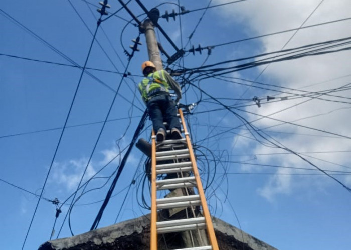 PLN Icon Plus Lakukan Penataan dan Pemeliharaan Aset Ketenagalistrikan di Sumadra Garut