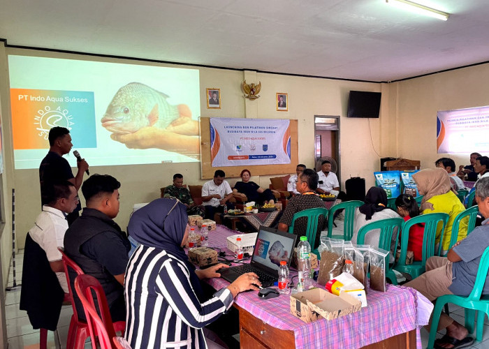 Pelatihan dan Launching Benih Nila IAS Belanda