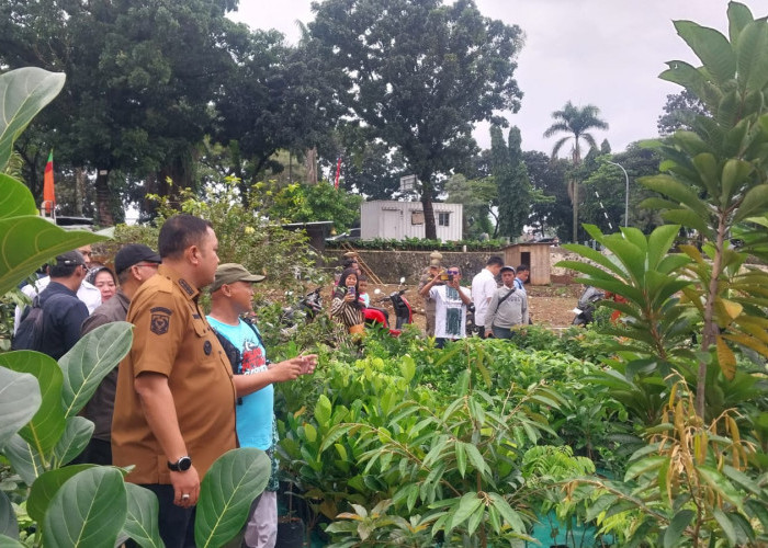 Pemkab Bogor Wacanakan Buat Sentra Buah di 435 Desa/Kelurahan