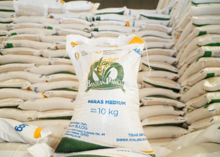 Bantuan Beras 30 Kg September 2026 Disalurkan, Cek Apakah Kamu Masuk Penerima