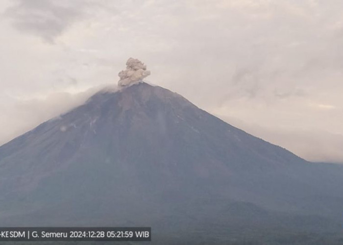 Gunung Semeru Erupsi Beberapa Kali, Warga Diminta Waspada   