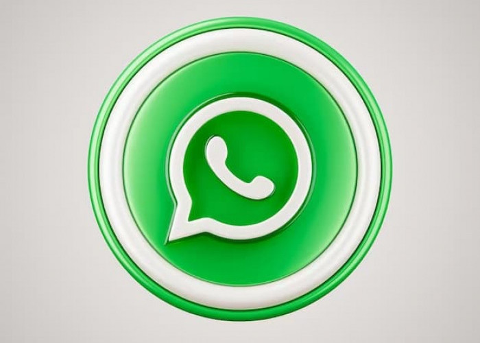 Sembunyikan Lokasimu dengan WhatsApp Fitur Protect IP Address in Calls