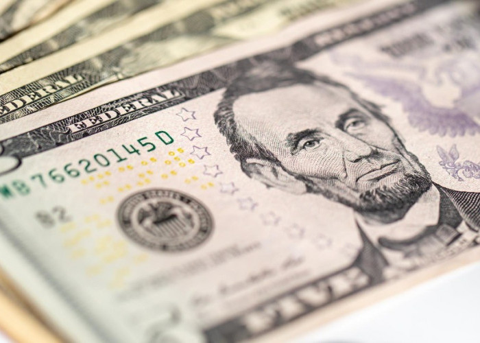 Harga Dolar Amerika Serikat Tembus Rp17.300, Ini Faktor yang Mempengaruhi Nilai Rupiah