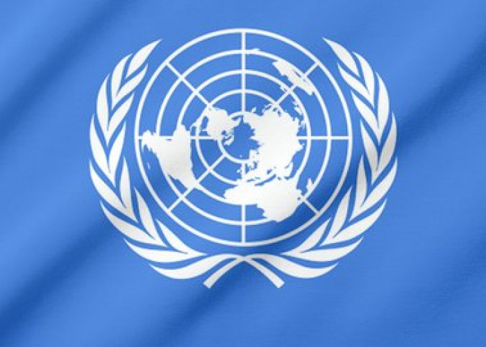 Gagal Menghentikan Genosida yang Terjadi di Palestina Direktur Komisaris Tinggi HAM PBB Mundur dari Jabatannya
