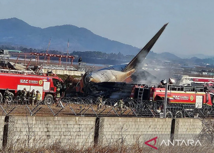 Tragedi Jeju Air: Hanya 2 Orang Selamat dari 181 Penumpang, 179 Korban Meninggal