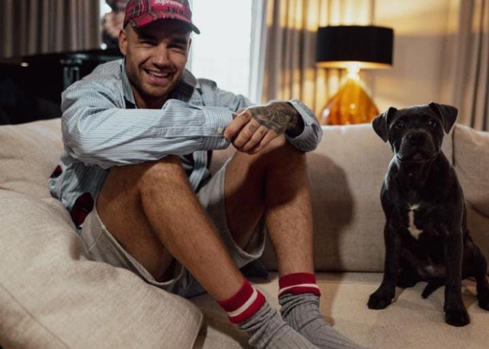 Liam Payne Meninggal Dunia, Intip Perjalanan Kariernya!