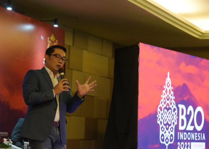B20 Investment Forum, Gubernur Ridwan Kamil Paparkan Potensi Investasi di Kawasan Rebana