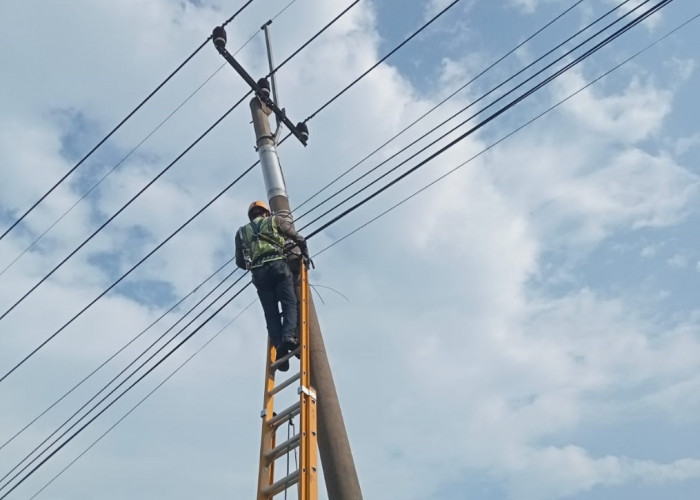 PLN Icon Plus Lakukan Penataan dan Pemeliharaan Aset Ketenagalistrikan di Arjawinangun, Cirebon