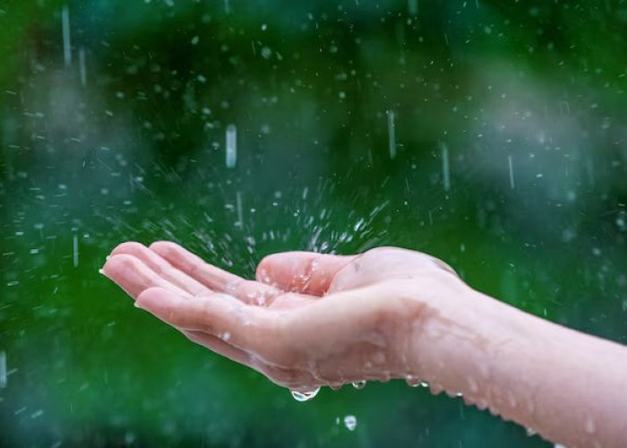 6 hal yang Harus di Persiapkan untuk Menyambut Musim Hujan, Jangan Sampai Menyesal!