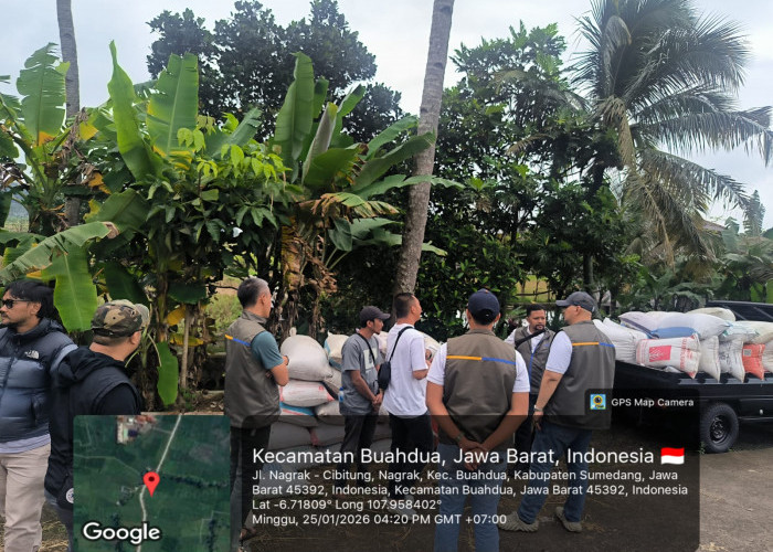 BULOG Kancab Bandung Gencarkan Serap Gabah Petani di 2026, Perkuat Ketahanan Pangan Nasional