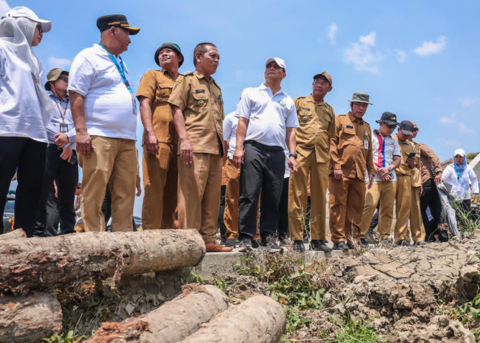 Bantu Petani Demak Tanam Hingga 3 Kali Setahun, Ahmad Luthfi Pastikan Normalisasi Saluran Irigasi Lancar