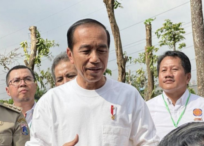 Presiden Joko Widodo Tekankan Proyek IKN Untuk Mengatasi Disparitas Ekonomi di Indonesia