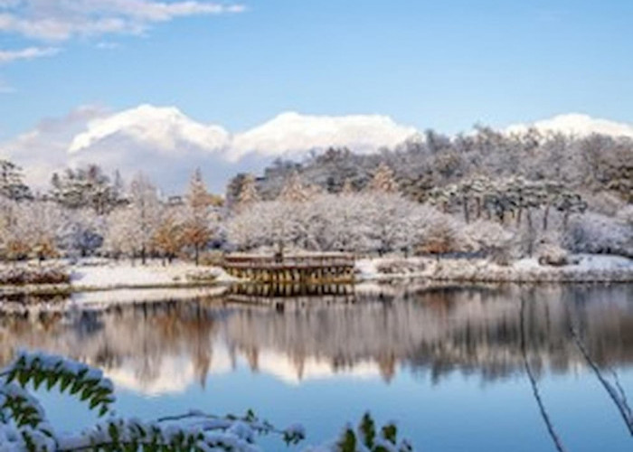 Liburan Keluarga Seru! Ini Rekomendasi Tempat Wisata di Korea Selatan saat Musim Salju