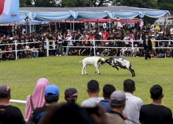 Kabupaten Bogor Menjadi Tuan Rumah Hari Peternakan Nasional ke-189