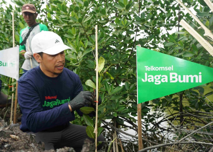 Telkomsel Ajak Pelanggan Tukar Poin Jadi Pohon, Gerakan Jaga Bumi 2026 Libatkan Generasi Muda hingga Komunitas