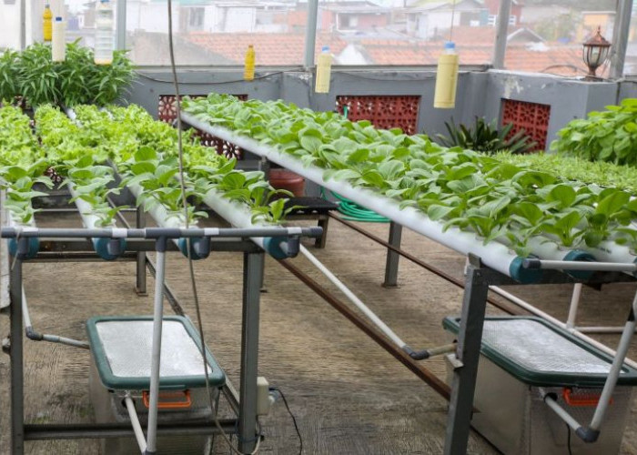 Sirkular Bandung Utama: dari Sampah Jadi Pangan, dari Pangan Jadi Harapan