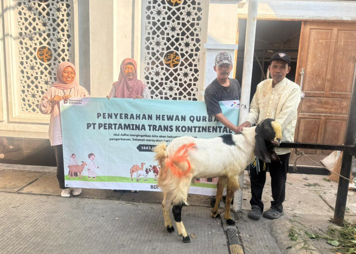 Pertamina Trans Kontinental Rayakan Iduladha 2026 dengan Menjaga Layanan dan Berbagi Kurban