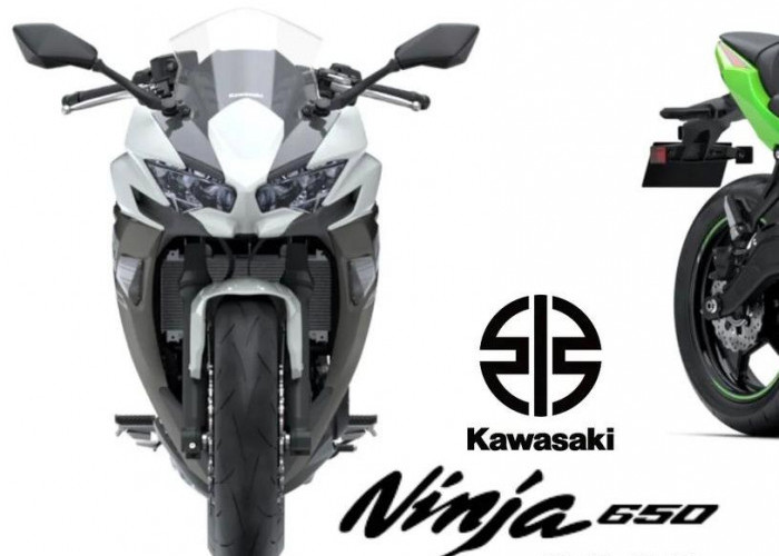 Legend? Kawasaki Ninja 650 dengan Mesin Bertenaga 650cc Silinder Engine  67.06 hp dan Tor. Berapa Harganya Ya?