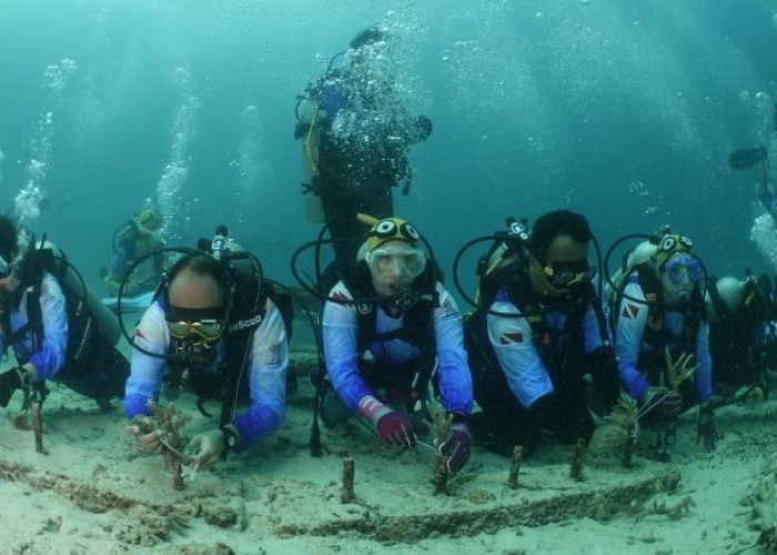 Hijaukan Laut Sabang, Pekerja Turun Langsung Transplantasi Terumbu Karang