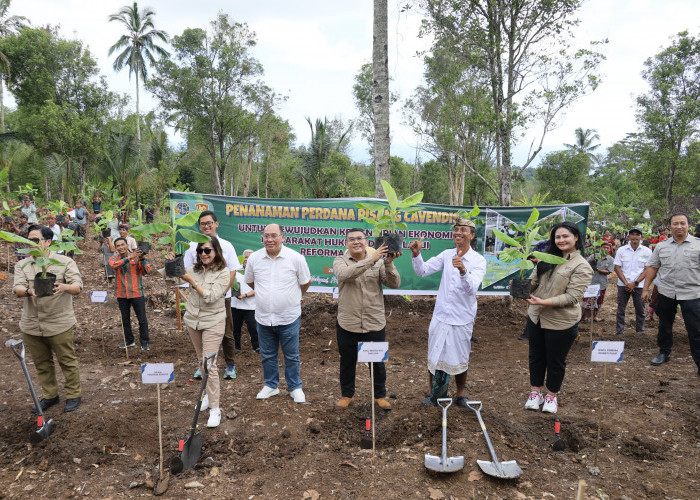 Wamen ATR/Waka BPN Tanam Pisang di Jembrana sebagai Langkah Perdana Penataan Akses Tanah Ulayat di Indonesia