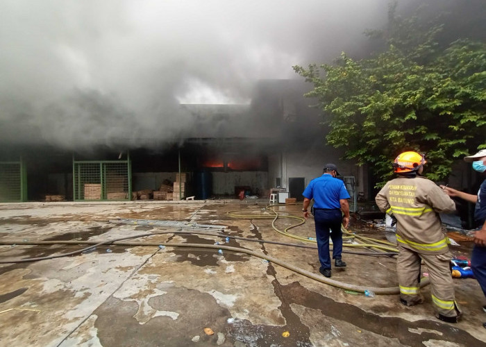 Kebakaran  di Kota Bandung Meningkat, Diskar PB Sebut Karena Kelalaian Masyarakat