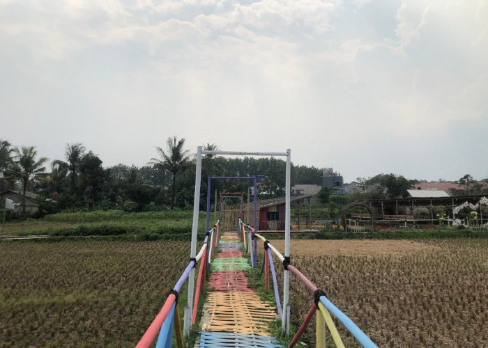 Taman Sampora Legok Cibinong Terbengkalai Akibat Kekeringan, Banyak Fasilitas Rusak