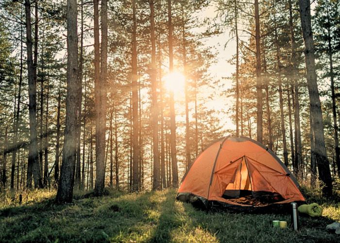 5 Tempat Camping di Jawa Barat yang Pemula Friendly