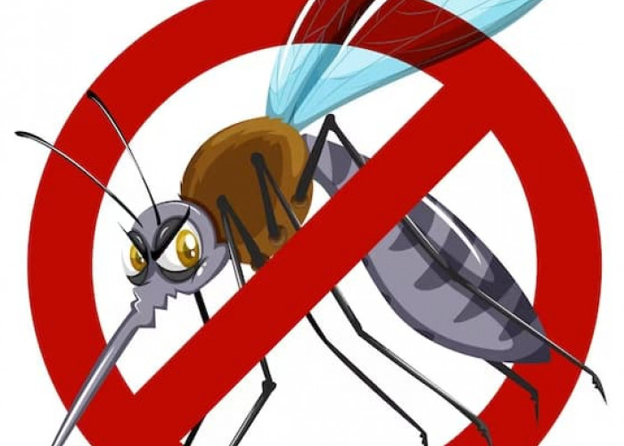 11 Cara Mengusir Nyamuk Tanpa Obat Nyamuk