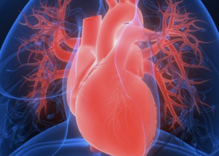 Kenali Faktor Risiko Penyakit Jantung Koroner Sejak Dini, Gejala, Pencegahan, serta Pemeriksaannya