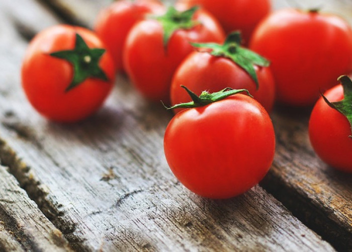 10 Manfaat Tomat untuk Kesehatan Tubuh, Menjaga Kesehatan Jantung Hingga Memperkuat Tulang?    