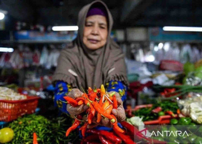 Update Harga Pangan! Harga Cabai Rawit Merah Kini Menjadi Rp65.310 per Kilogram