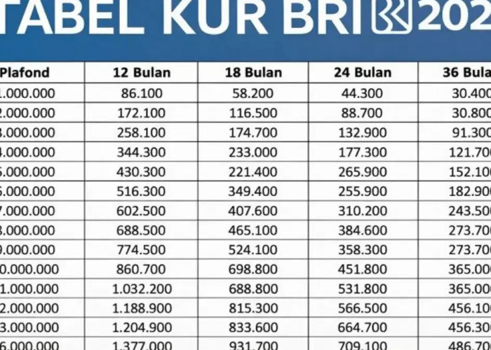Simulasi KUR BRI 2026 Pinjaman Rp50 Juta, Cicilan Terendah di Bawah Rp1 Jutaan