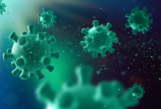 Kasus Hantavirus di Argentina Melonjak, Pemerintah Bersitegang dengan WHO